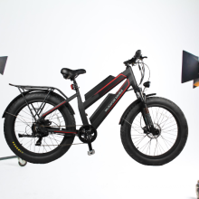 Highly cost effective 1000w wheel double battery electric bicycle for quality primacy